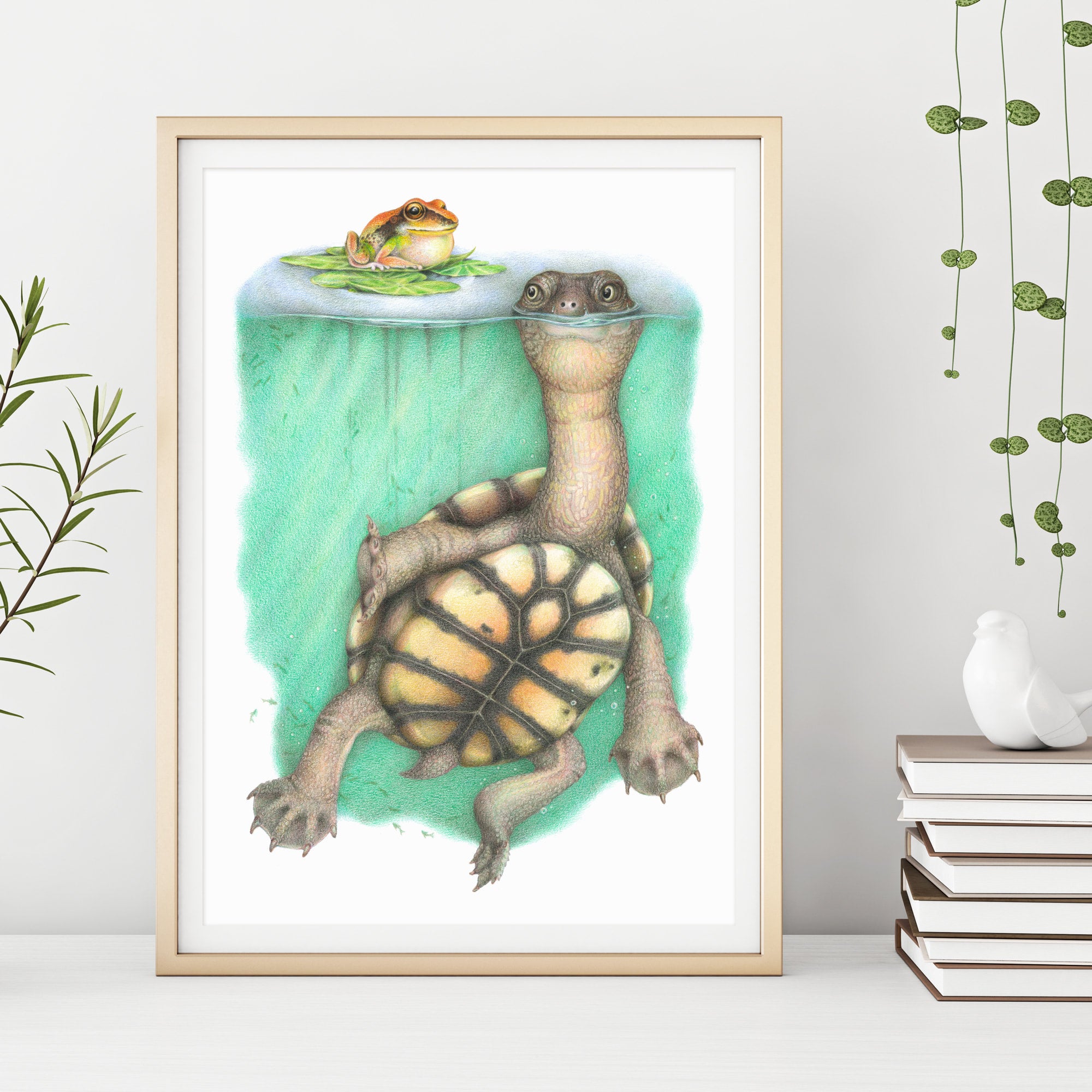 Original Long-necked Turtle Pencil Drawing | Critterarty