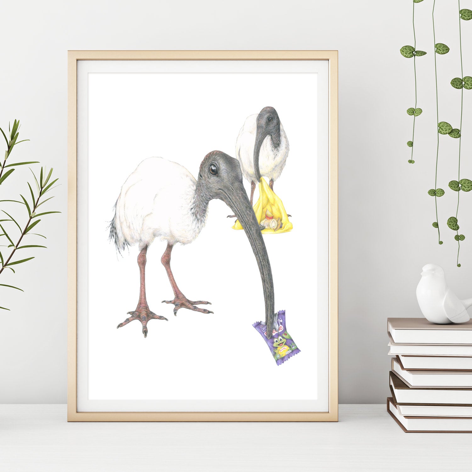 Bin Chicken Art Print Critterarty bin-chicken-art-print-critterarty