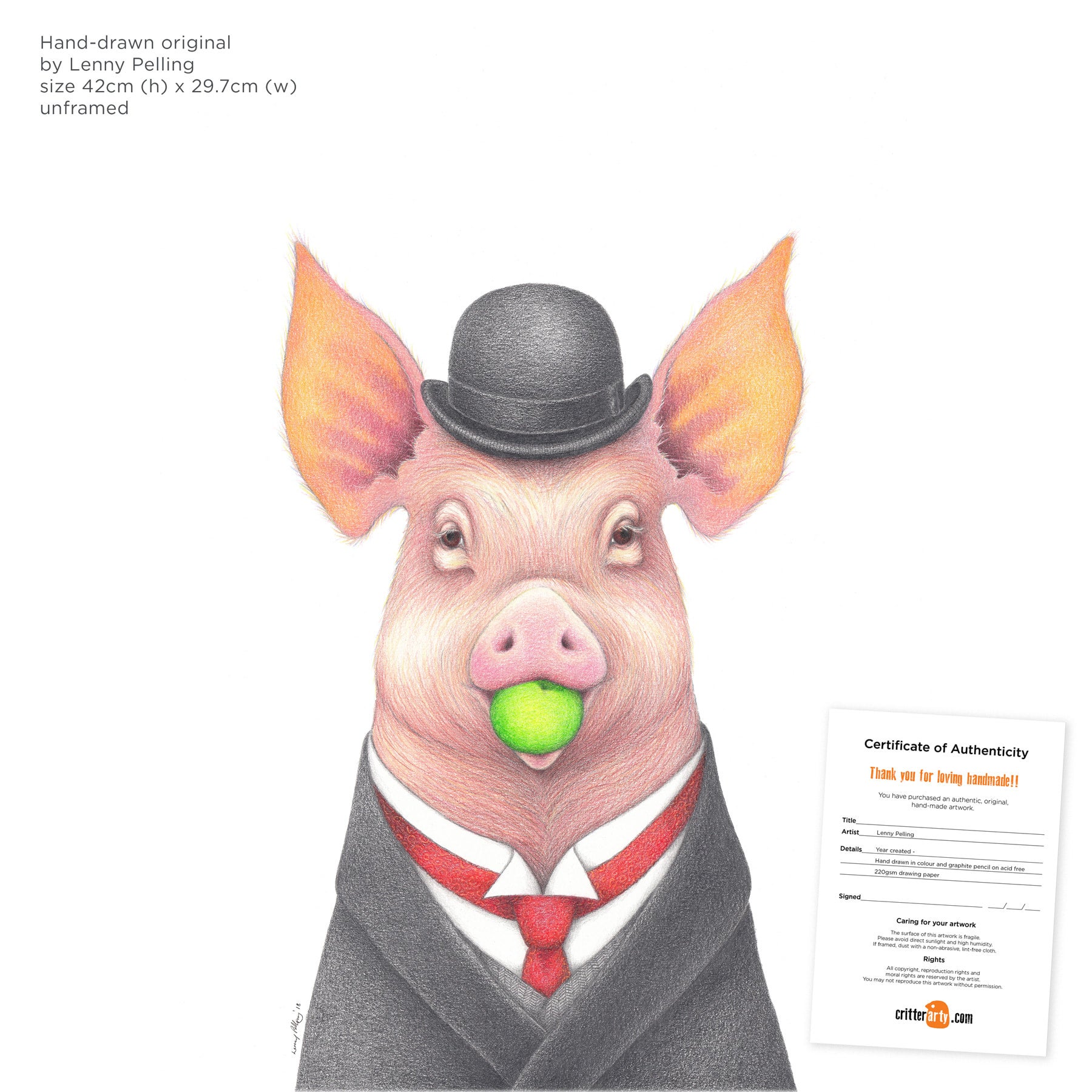 Pig Color Pencil Drawing