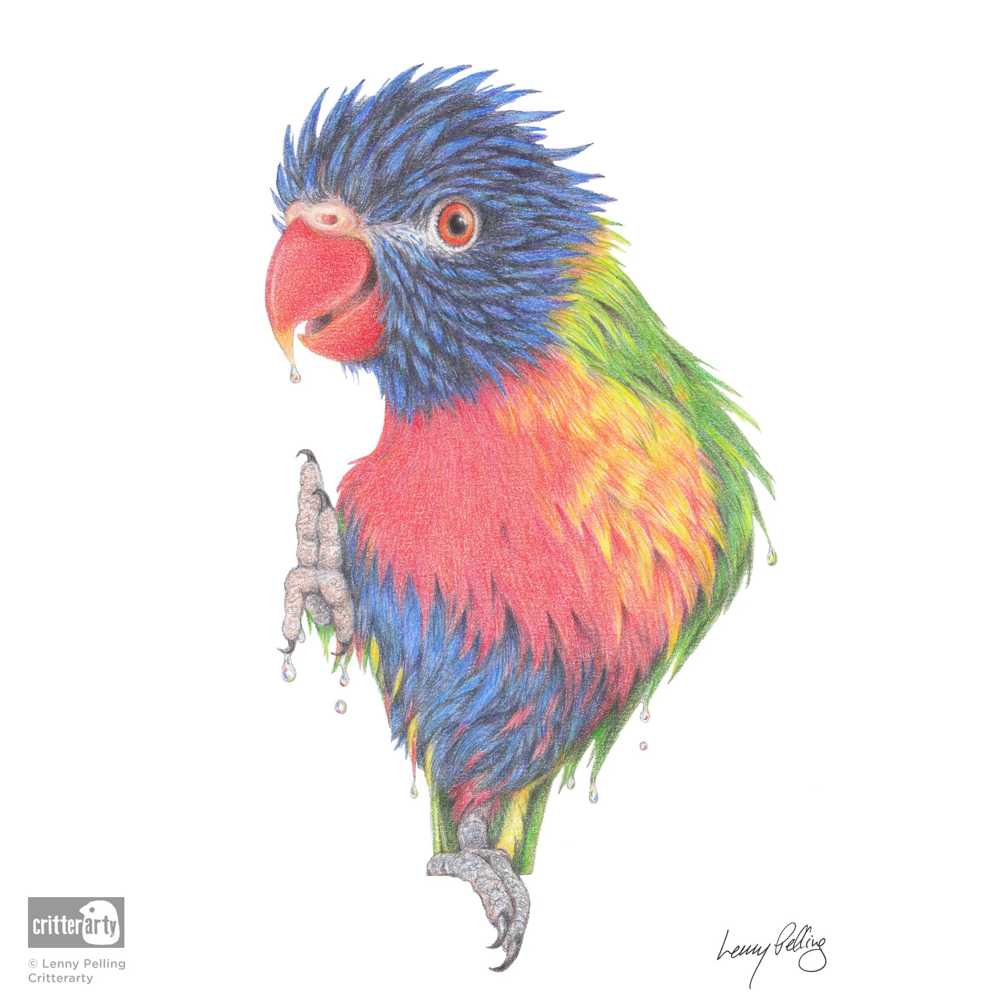 Rainbow Lorikeet Art Print | Critterarty