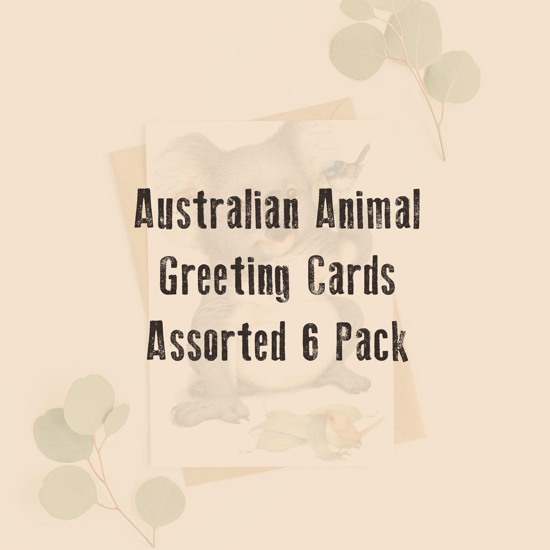 Boxed Australian Animal Greeting Cards assorted 6 pack Critterarty